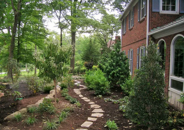 Stepping-stone path through a mulched shade garden beside a brick house